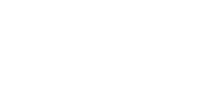 Holding Morelli company logo